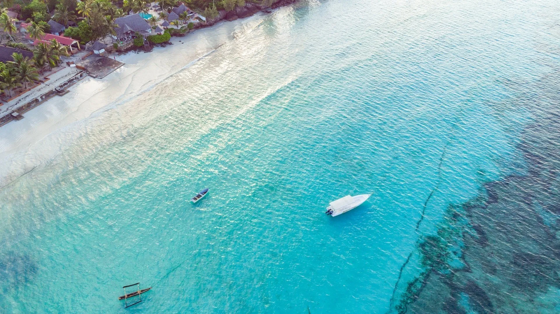 Cosa fare a Zanzibar: 8 esperienze da non perdere