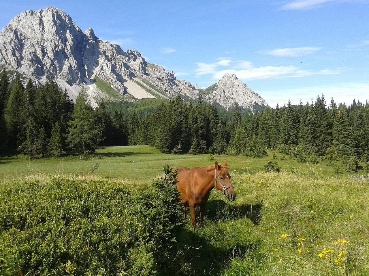 Vacanze Green Friuli-Venezia Giulia