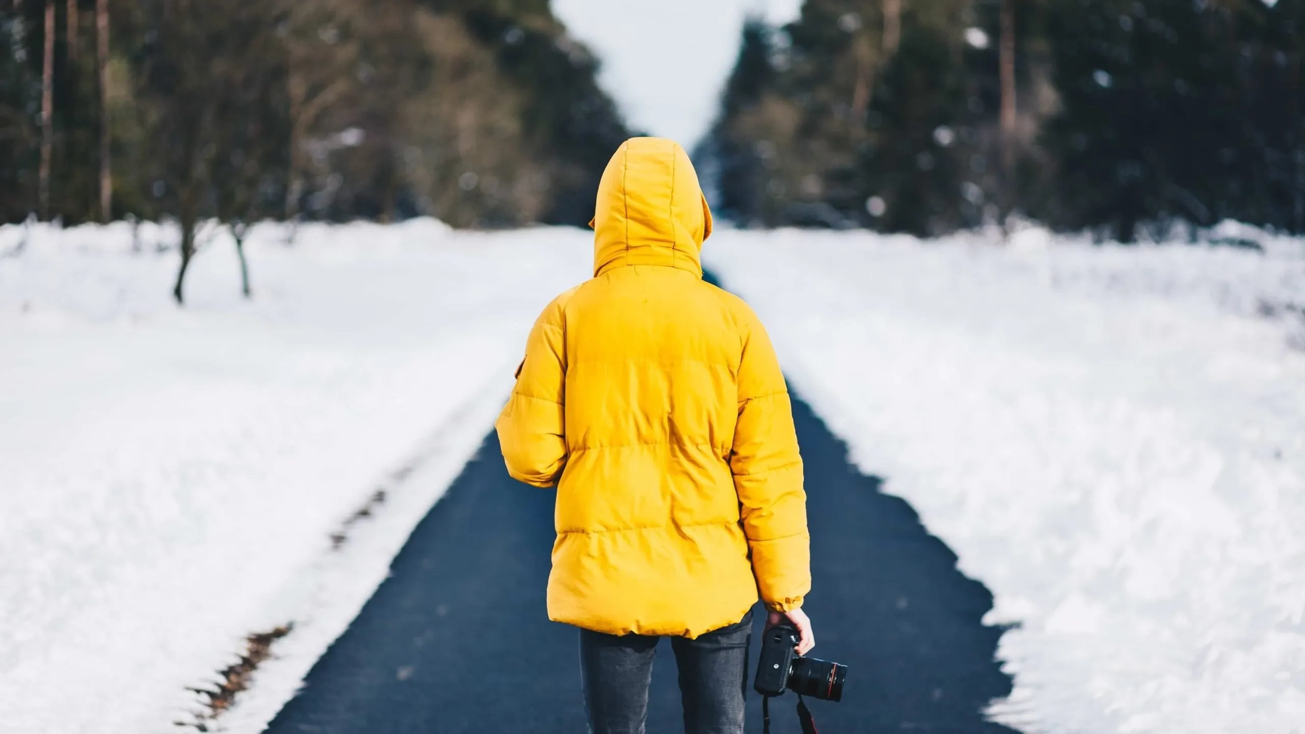 viaggiare in solitaria