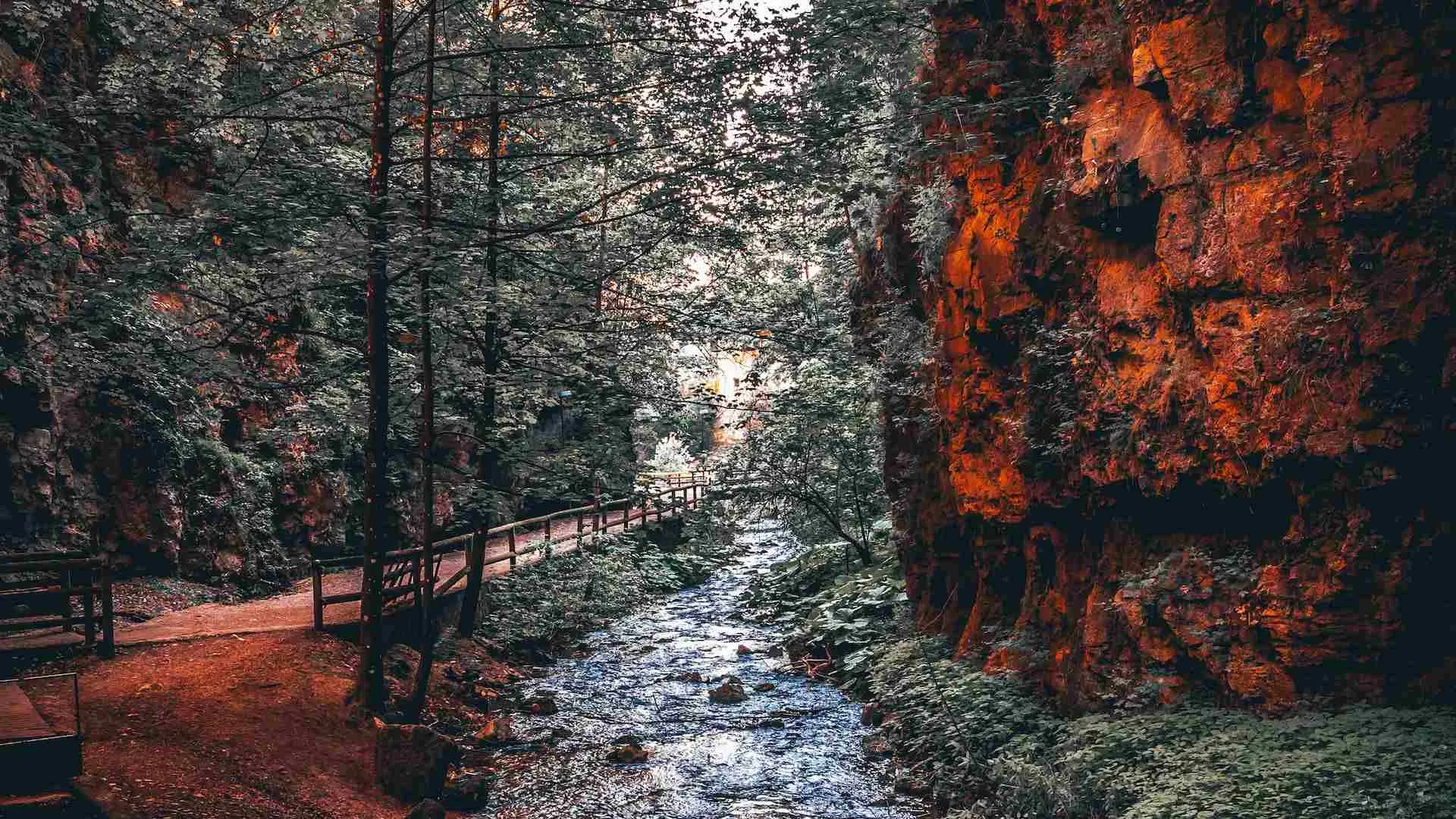 val di non fondo canyon rio sass percorso visite cooperativa smeraldo bagni di fondo rocce parte cuore vacanza natura cascate torrente trentino trentino guest card fondamenta giganti luce scoperta marmitte