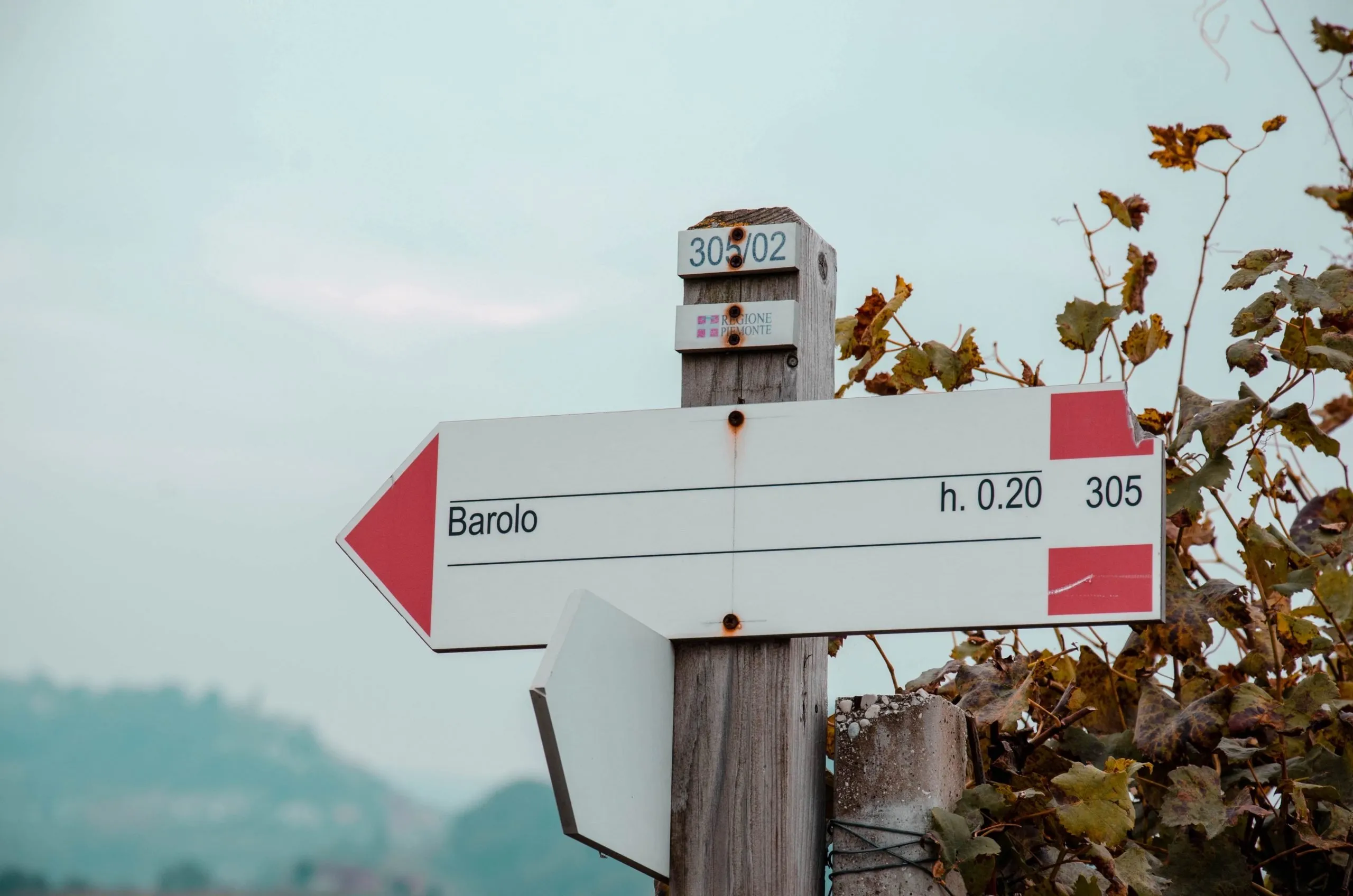cosa vedere nelle langhe