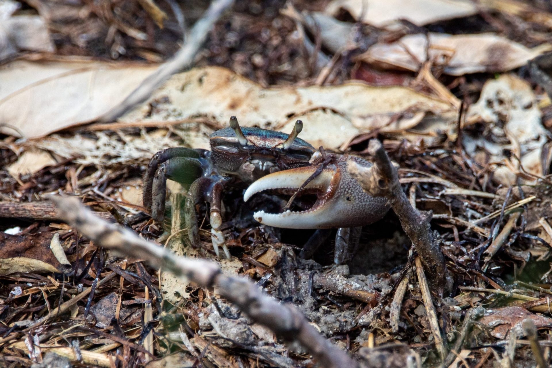 Scopri il paradiso alpino nel Rifugio Auronzo: un’esperienza indimenticabile tra natura e relax!