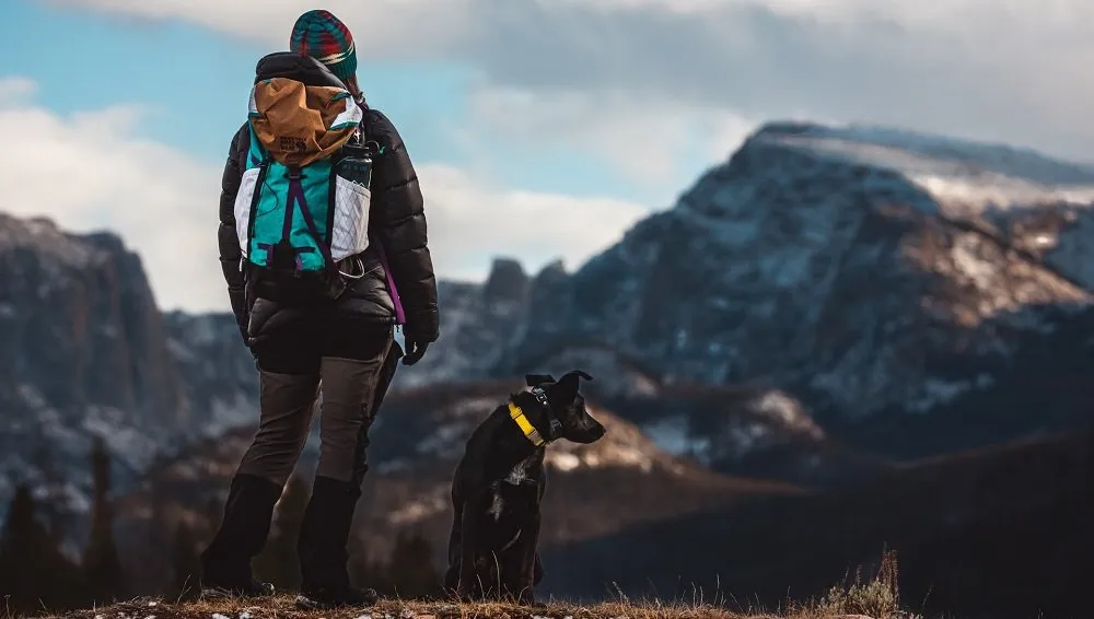 montagna-cane