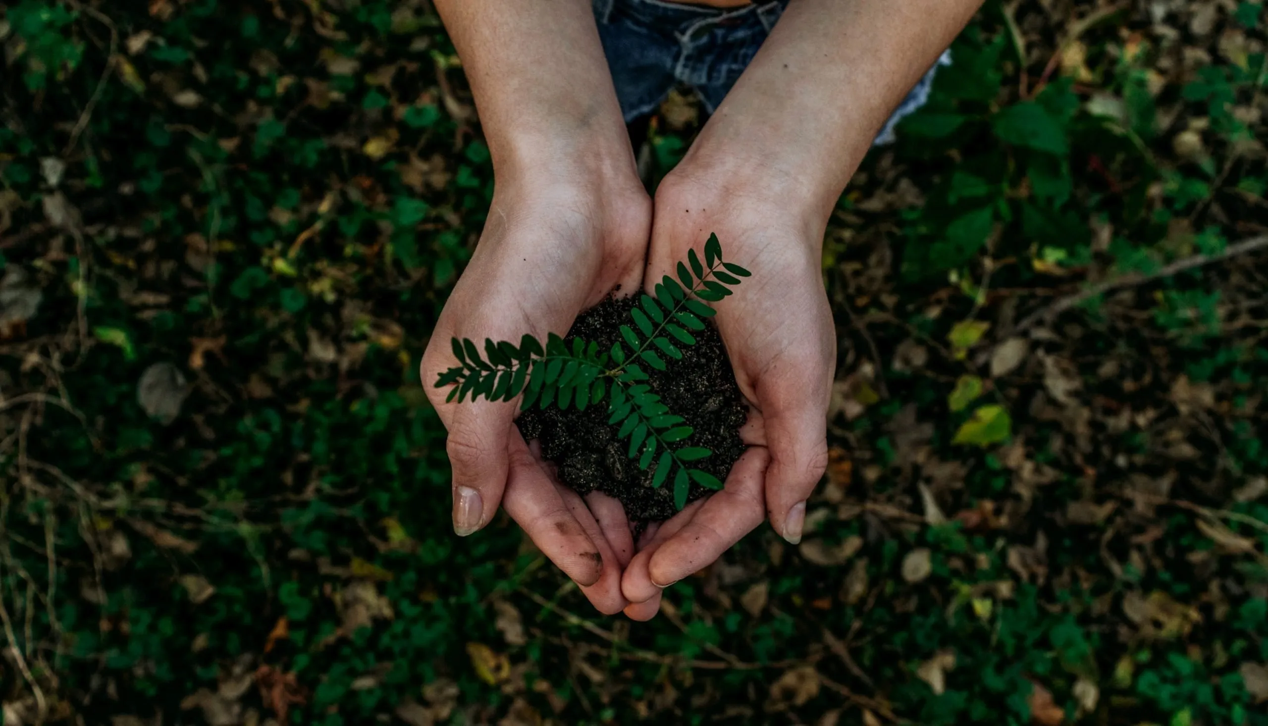 Come aiutare l'ambiente