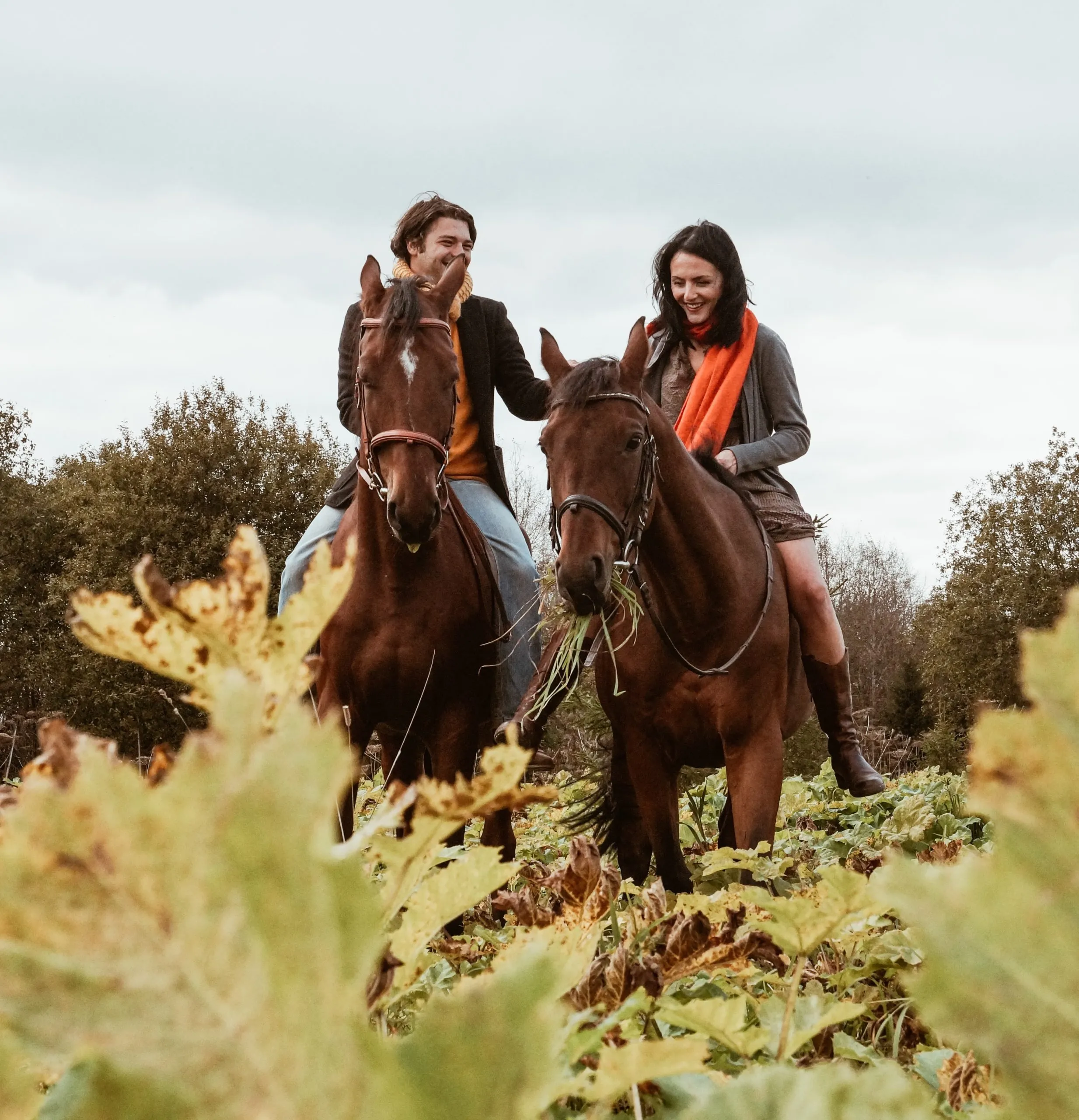 Alla scoperta dell’Italia a cavallo: le migliori passeggiate per immergersi nella natura