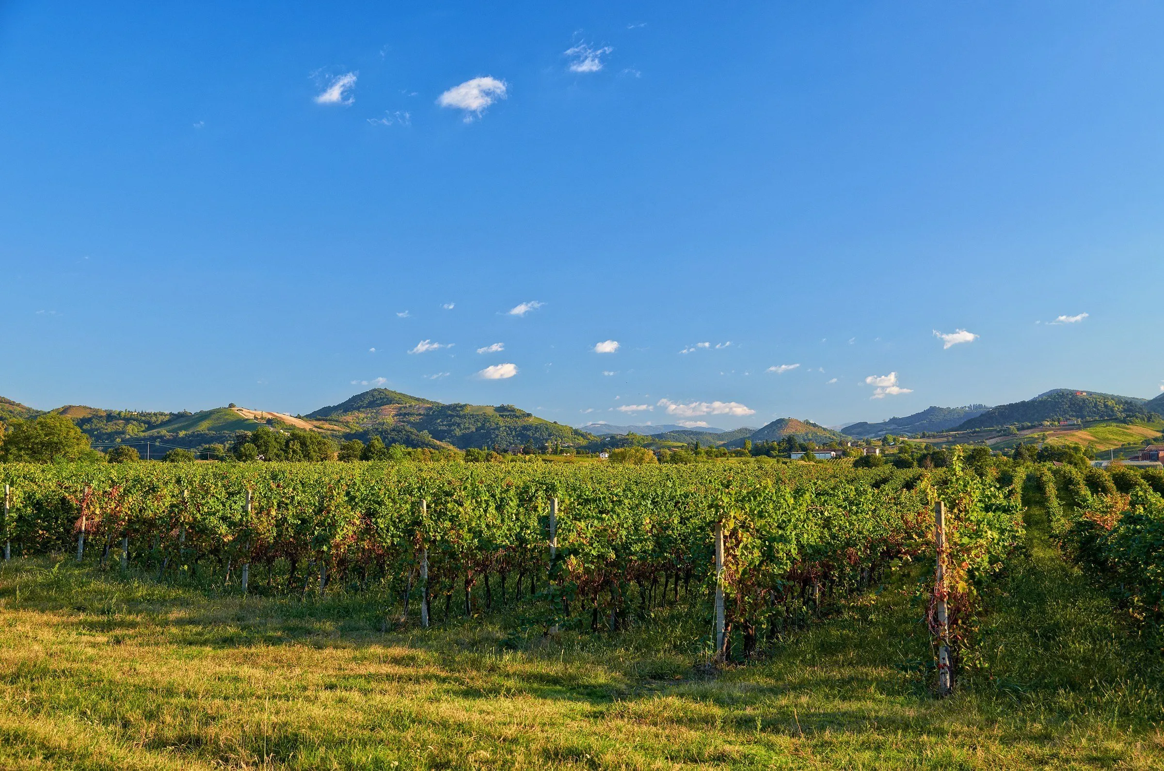 dove-andare-una giornata-in-lombardia-oltrepo