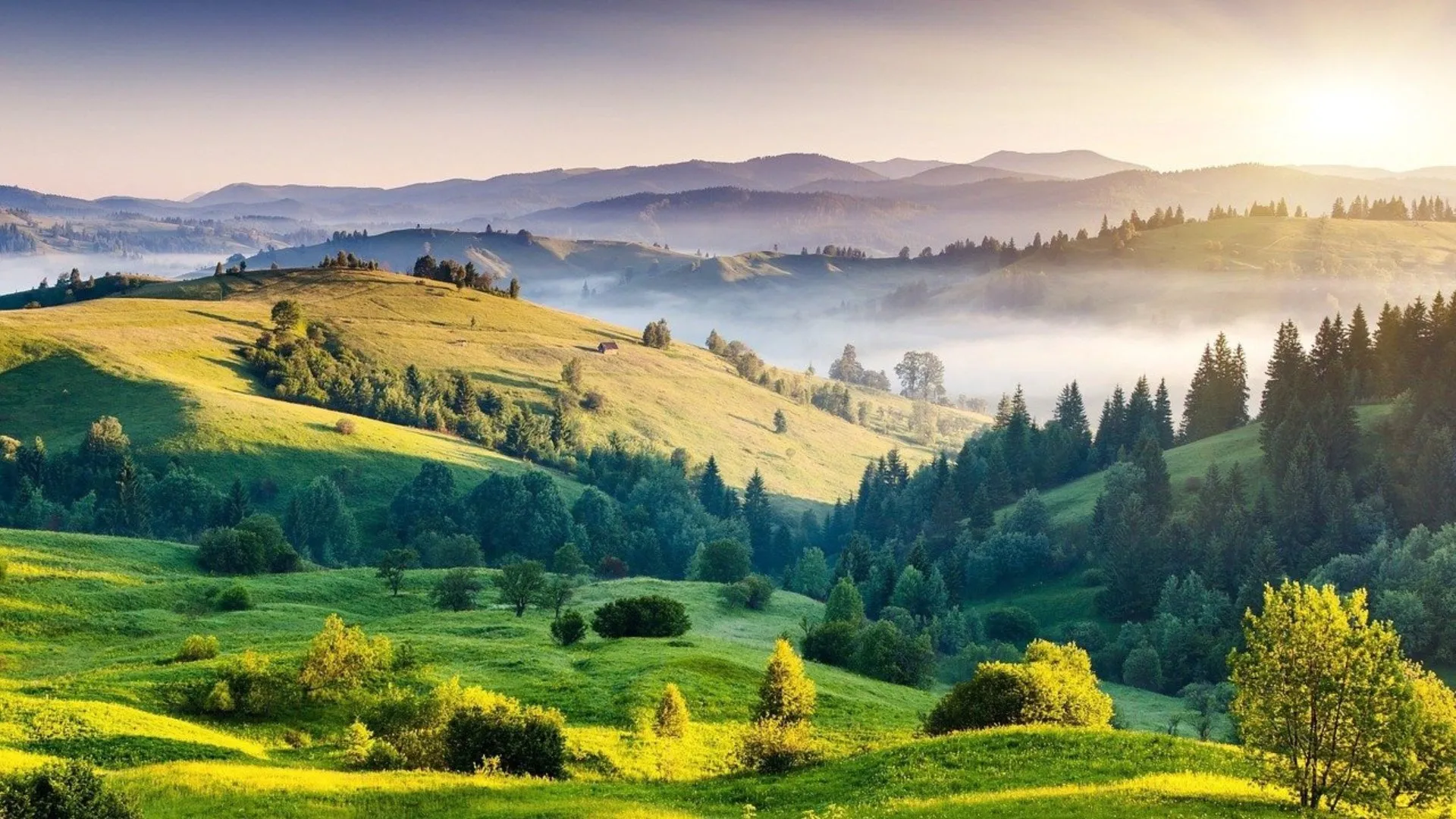 Vacanze Green
