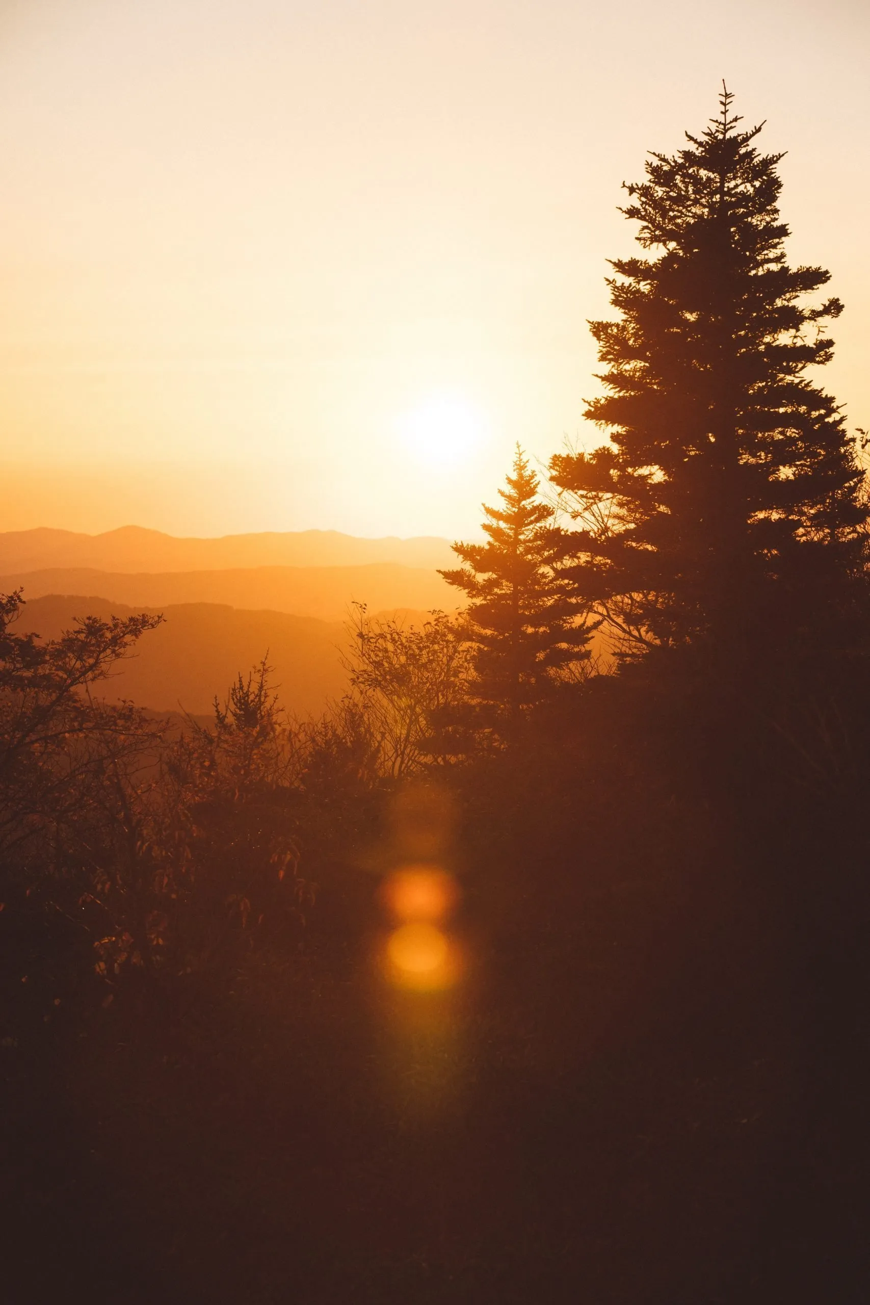 La natura alla luce del tramonto ha qualcosa in più da offrire