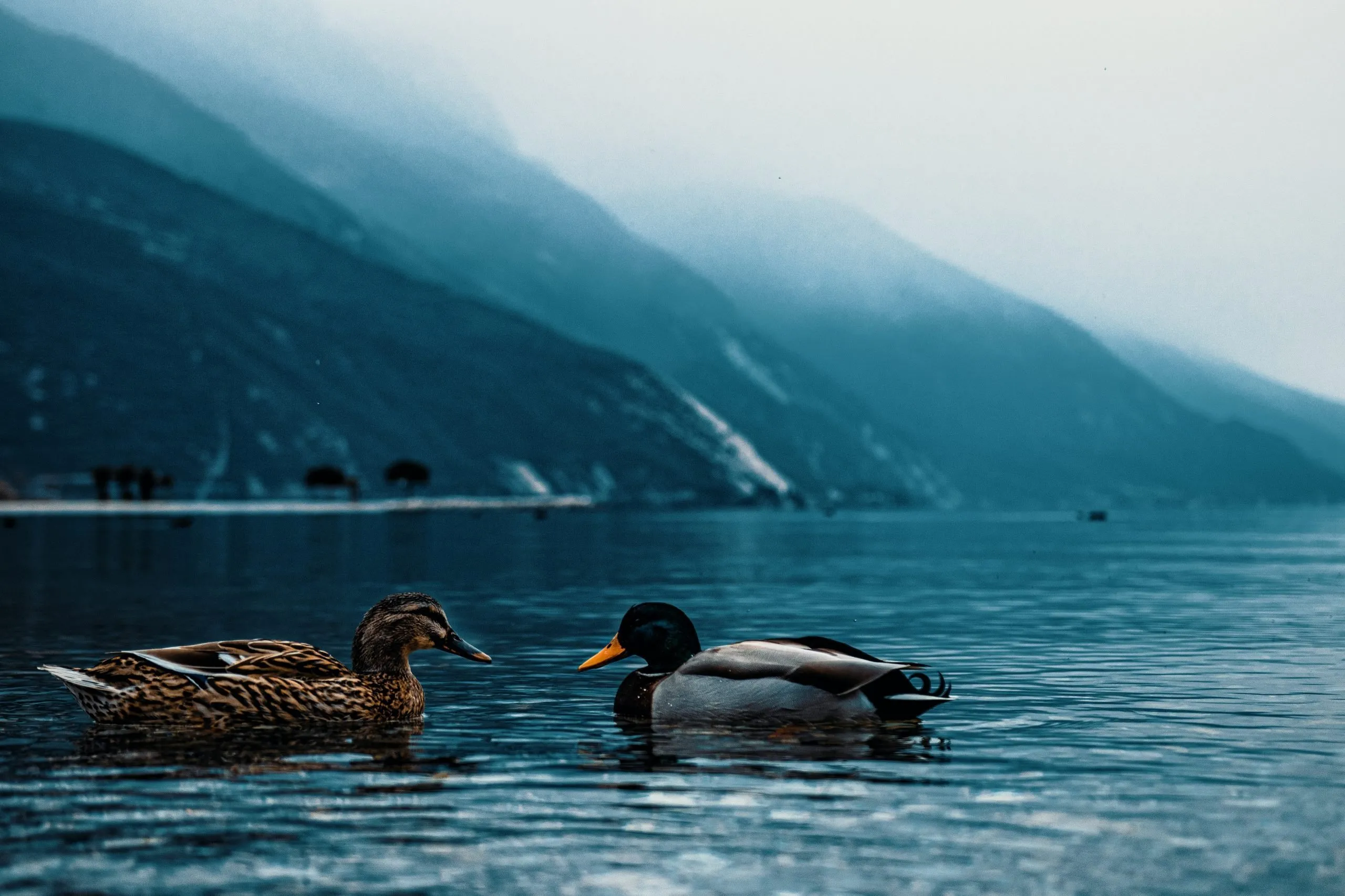 posti da visitare sul lago di Garda