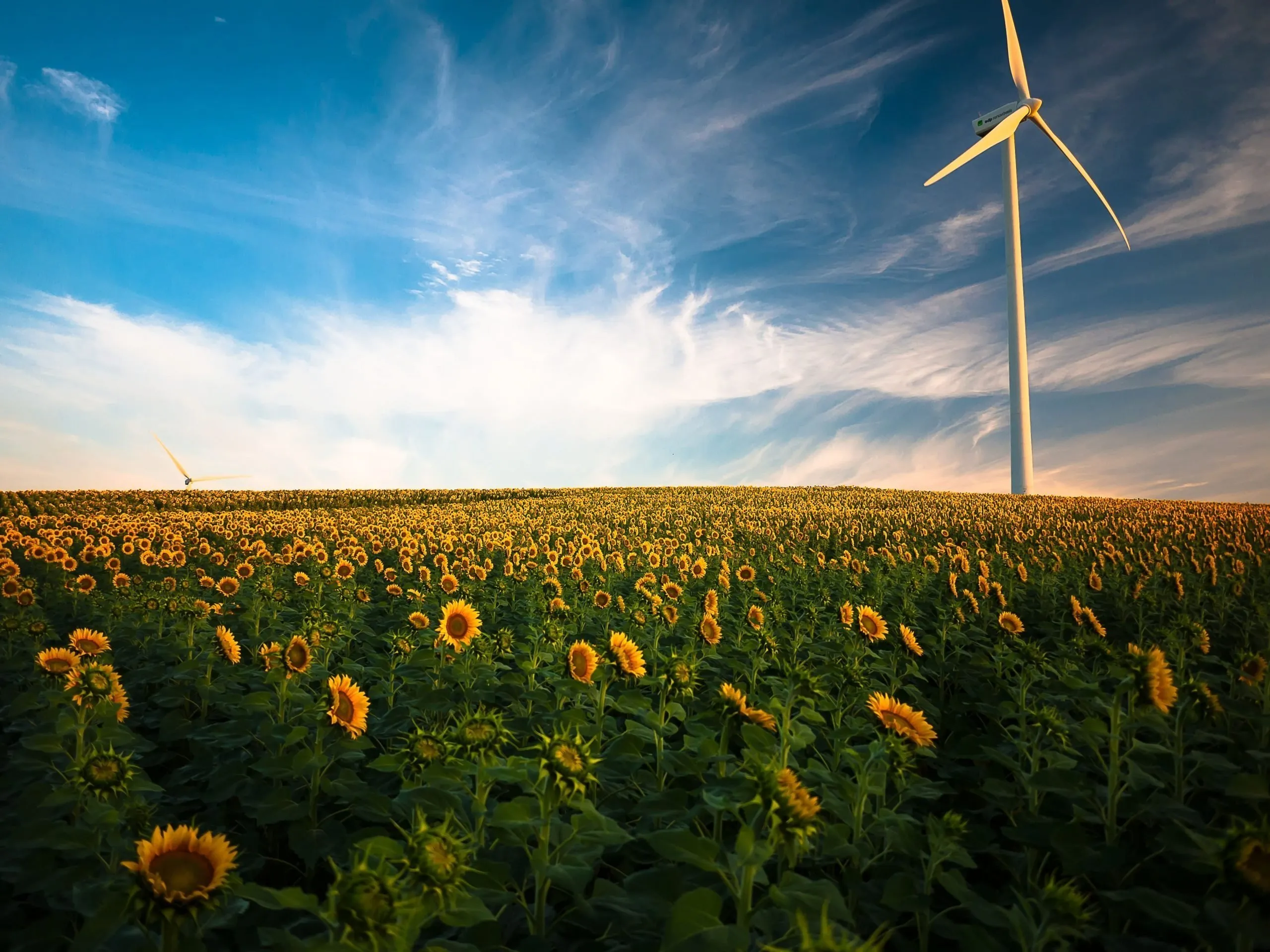 La Giornata Mondiale dell'Ambiente ha molto a che fare col tema della sostenibilità
