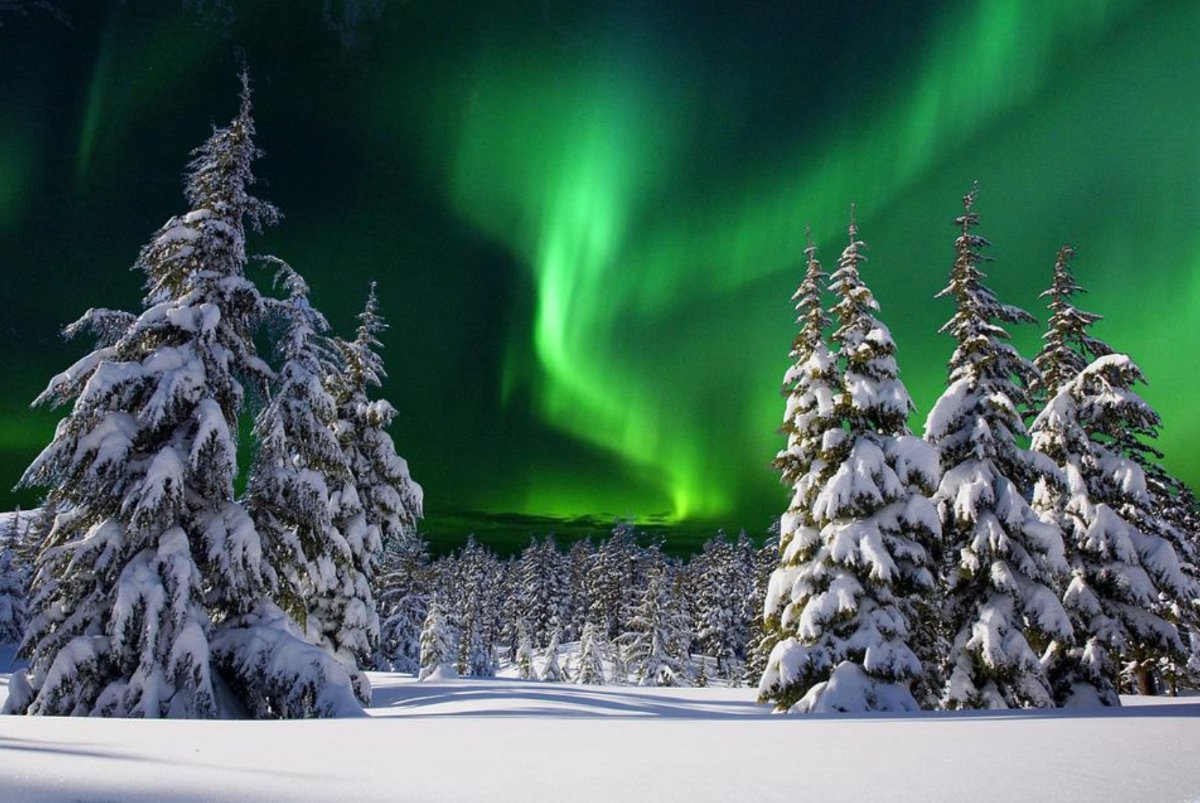 Lapponia Finlandese: 4 giorni nel regno dell’Aurora Boreale