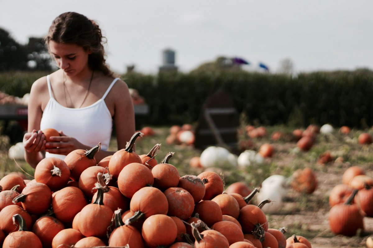 Halloween esclusiva Caccia al Tesoro: Due Giorni tra Sapori della La Magna Longa