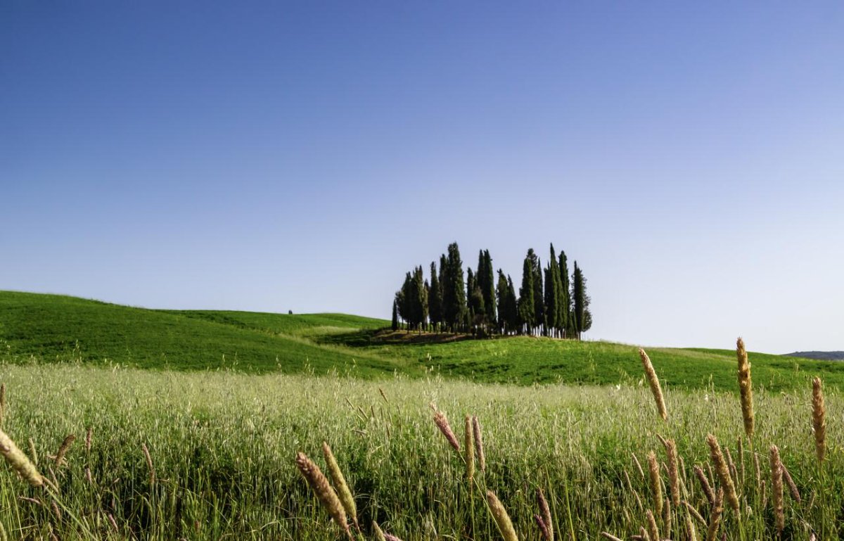 Tre Giorni nel cuore della Val D'Orcia, in Toscana!