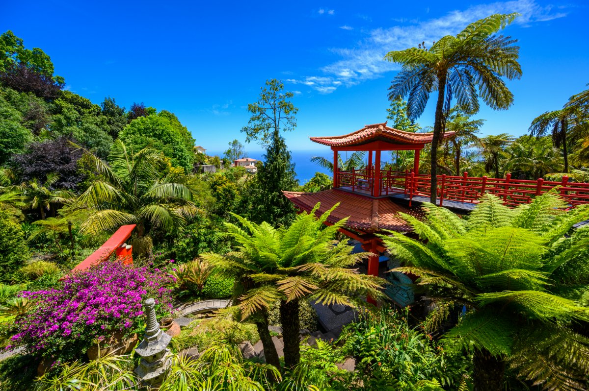 Viaggio di gruppo a Madeira