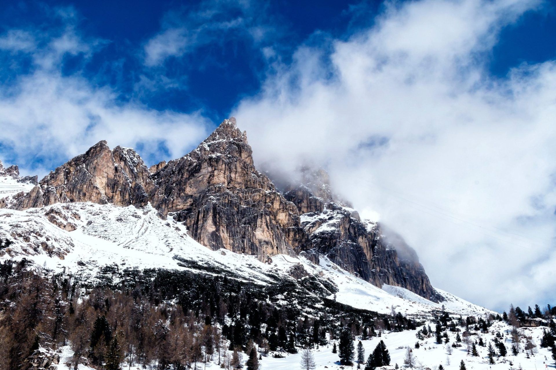 belluno