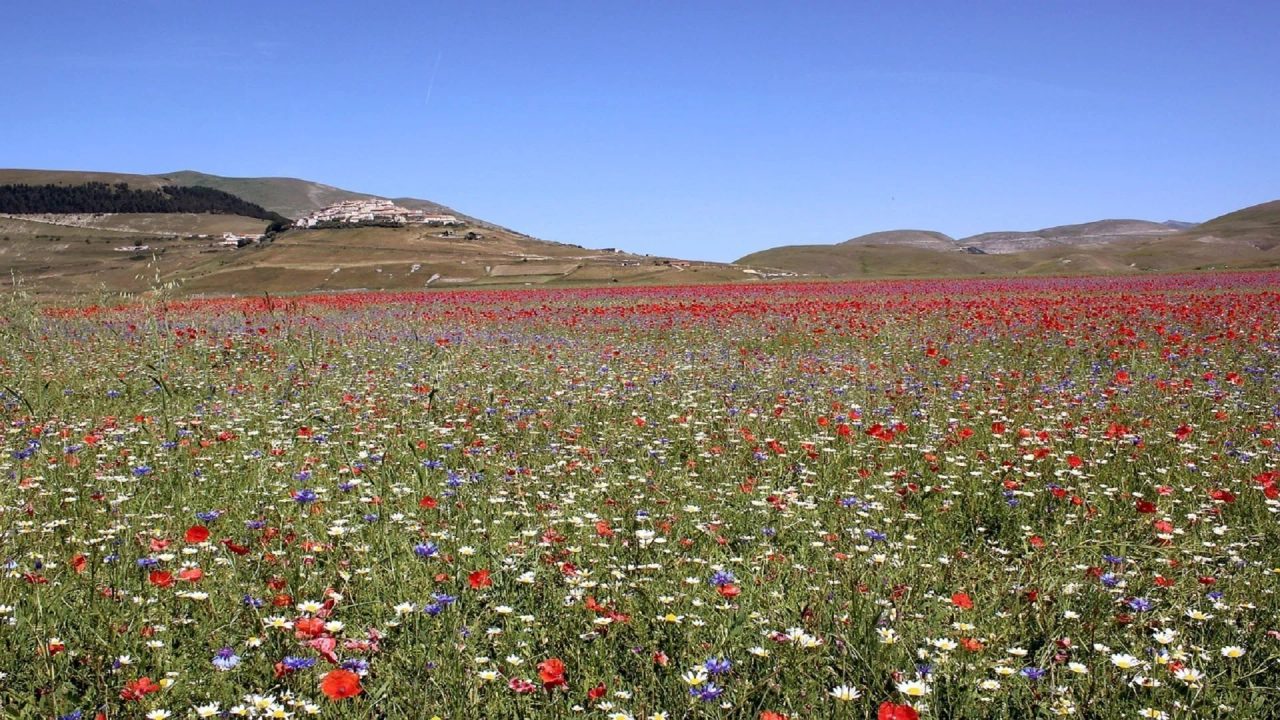 castelluccio di norcia