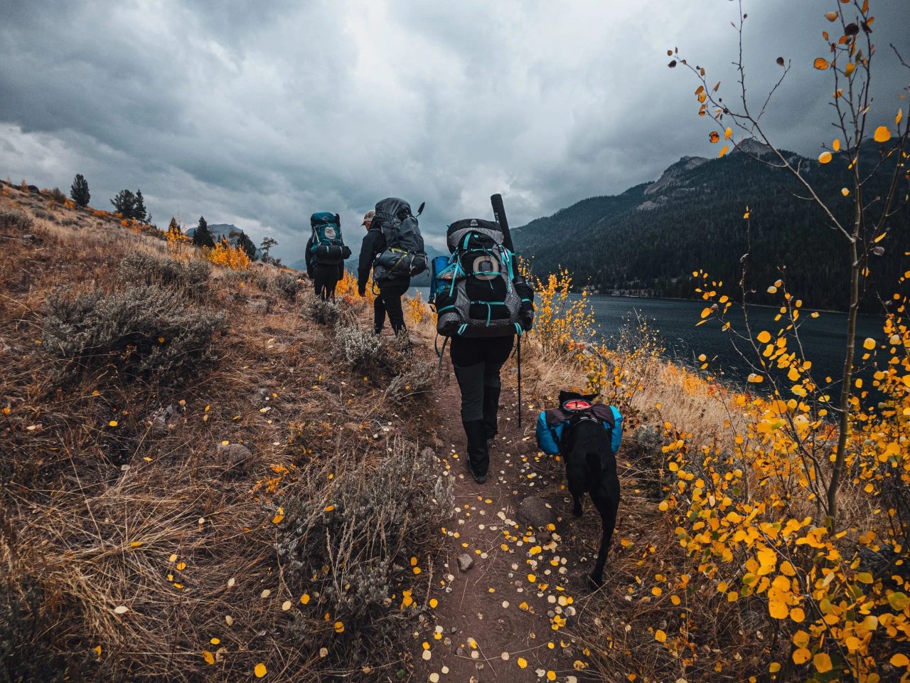 gruppi-per-camminare-insieme