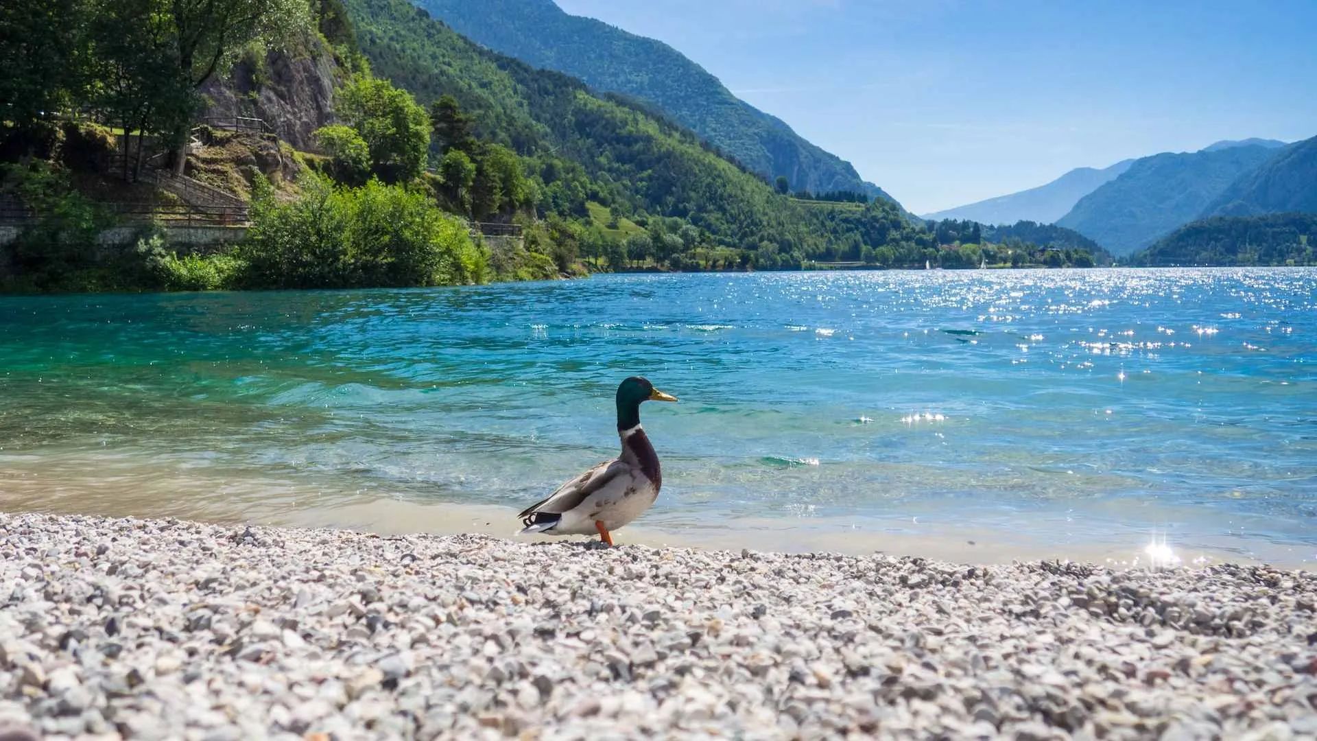 vacation menu depth sports products town center polenta part nearby treasures fishing mezzolago judicaria canoe lake ledro