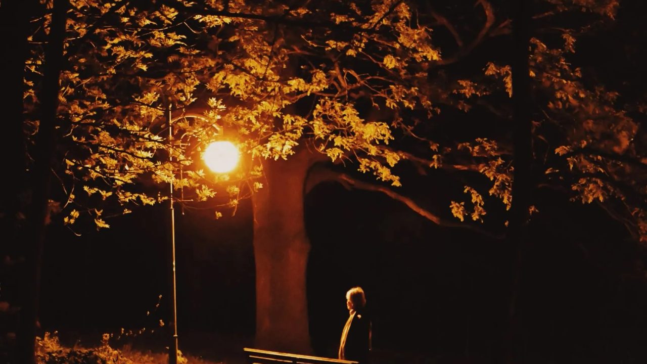 Tree Tents: The Magical Experience of Sleeping Suspended Among the Trees in Carona's San Grato Park