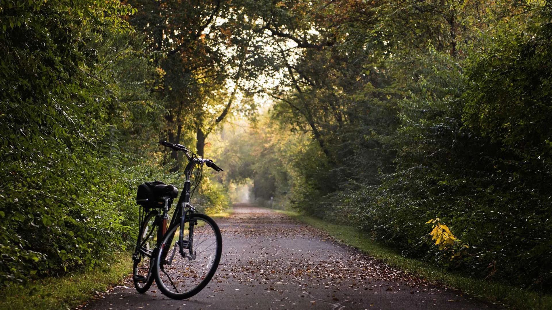 e-bike veneto