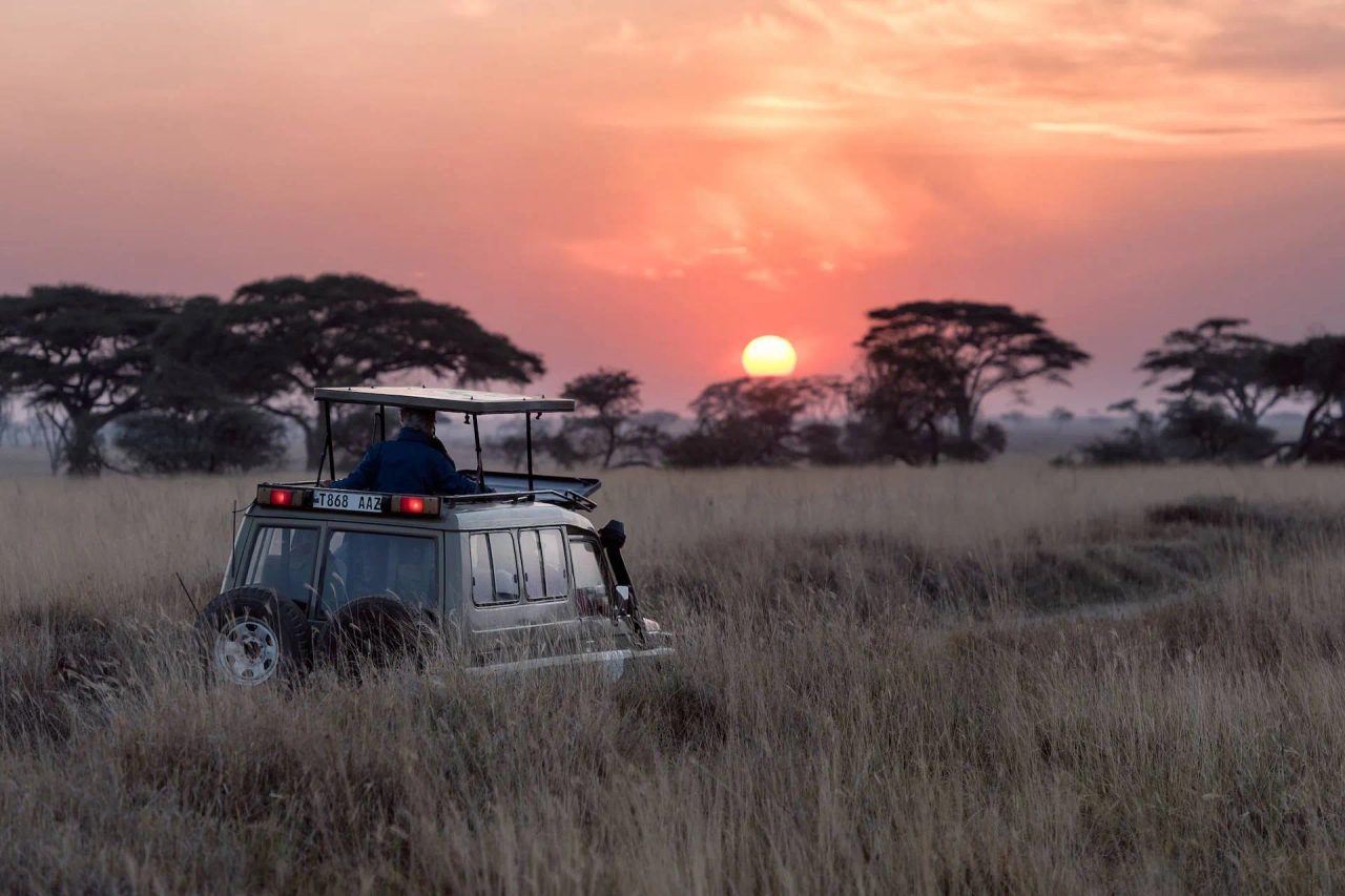 10 viaggi da fare prima dei 45 anni capo nord safari africa