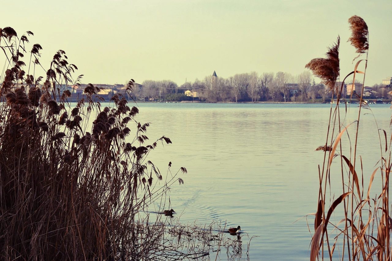 cosa vedere a mantova