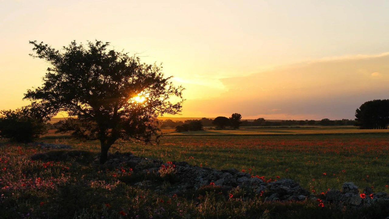 What to Do in Puglia: From the Sea to the Cities, a Spectacular Itinerary