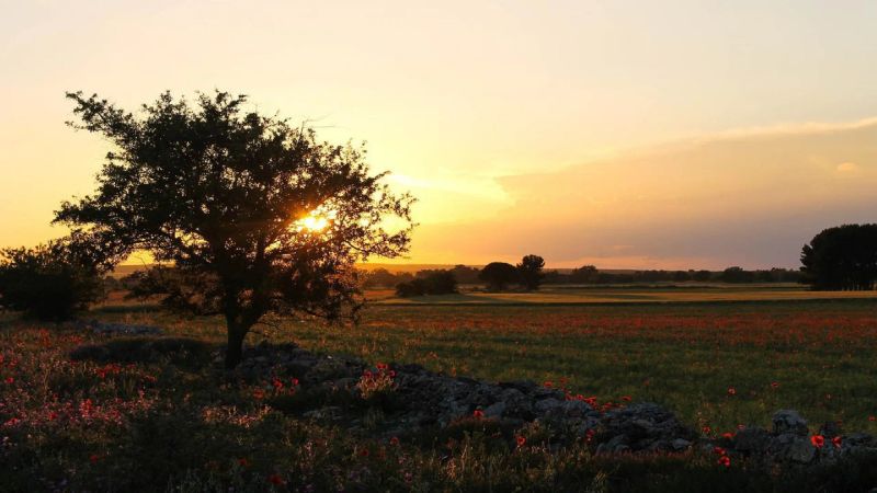 What to Do in Puglia: From the Sea to the Cities, a Spectacular Itinerary