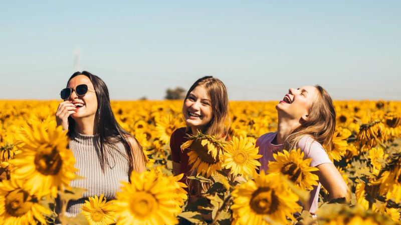 Changing Your Life: Tips and Strategies for Personal Renewal