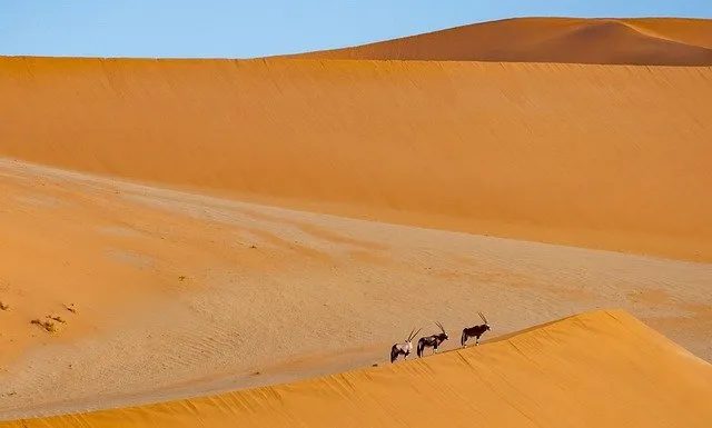 Namibia Cose da Vedere
