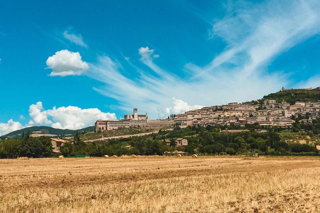 amici possibilità servizio paese matrimonio