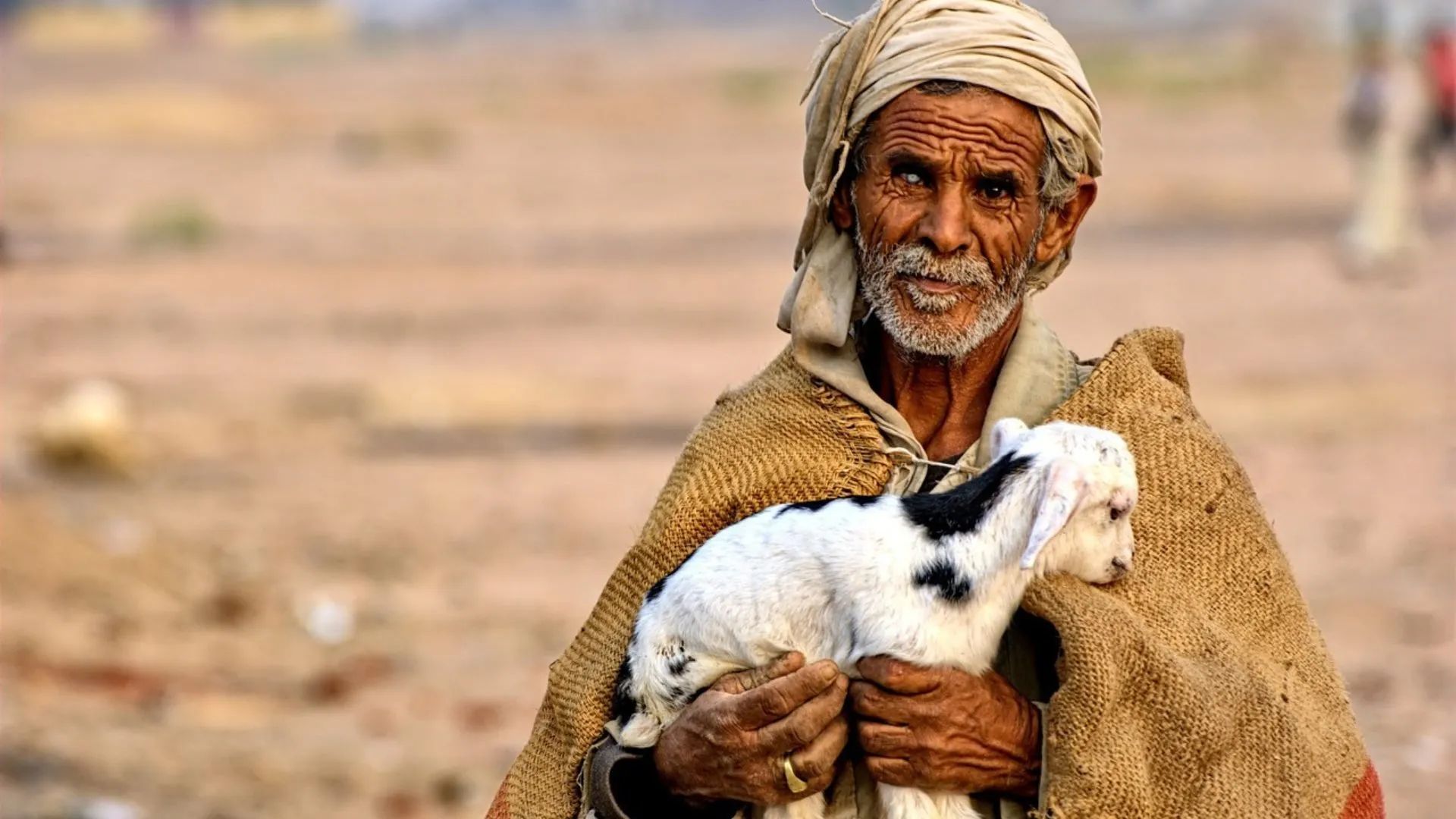 What to See in Egypt