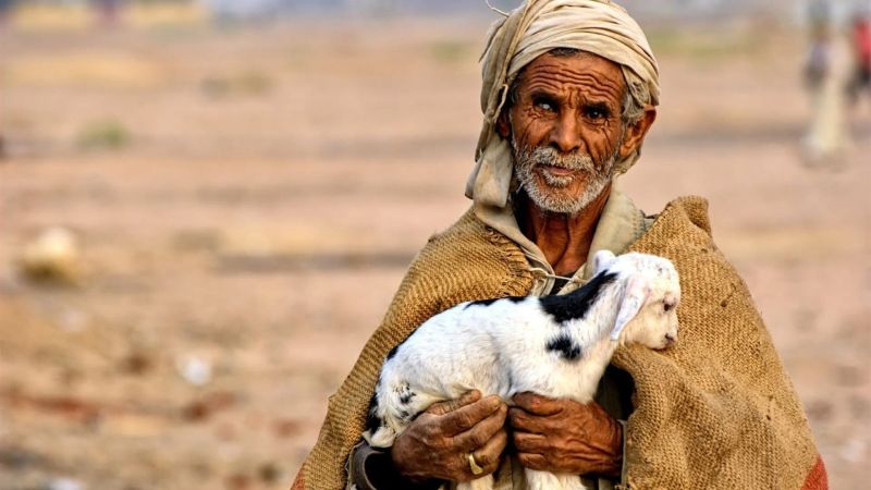 What to See in Egypt