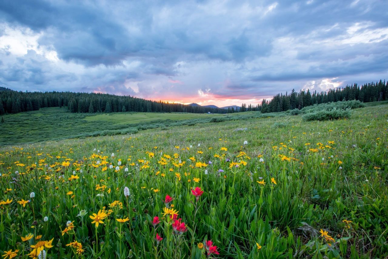 equinozio di primavera