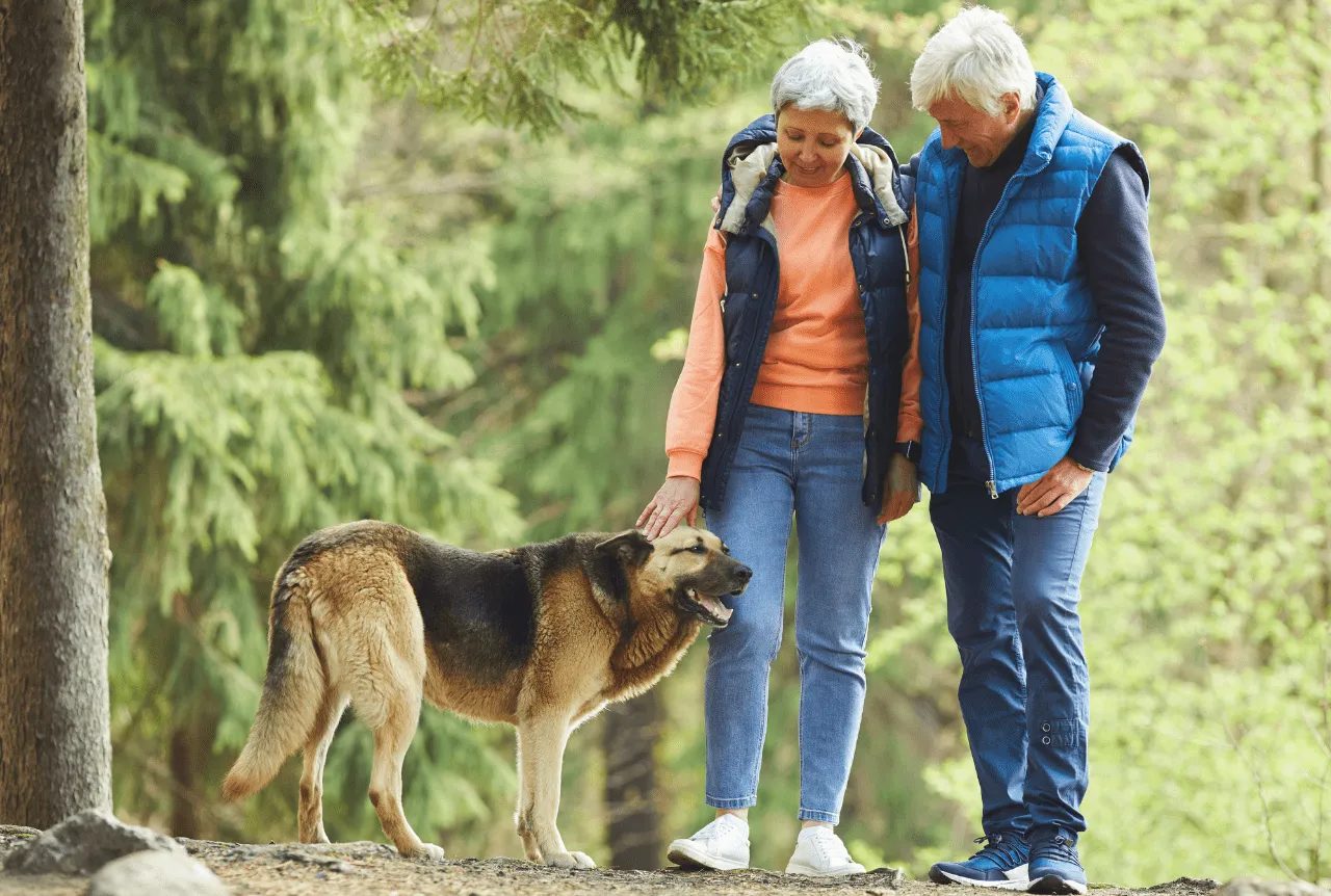 Itinerari con il cane