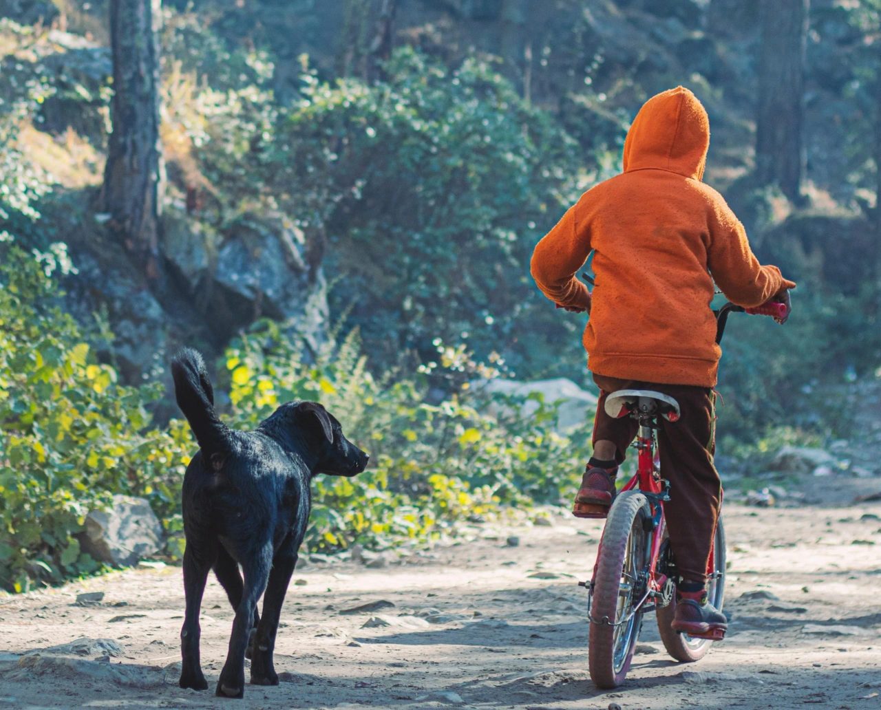 Le piste ciclabili sono un ottimo posto dove fare una gita in Lombardia con il cane