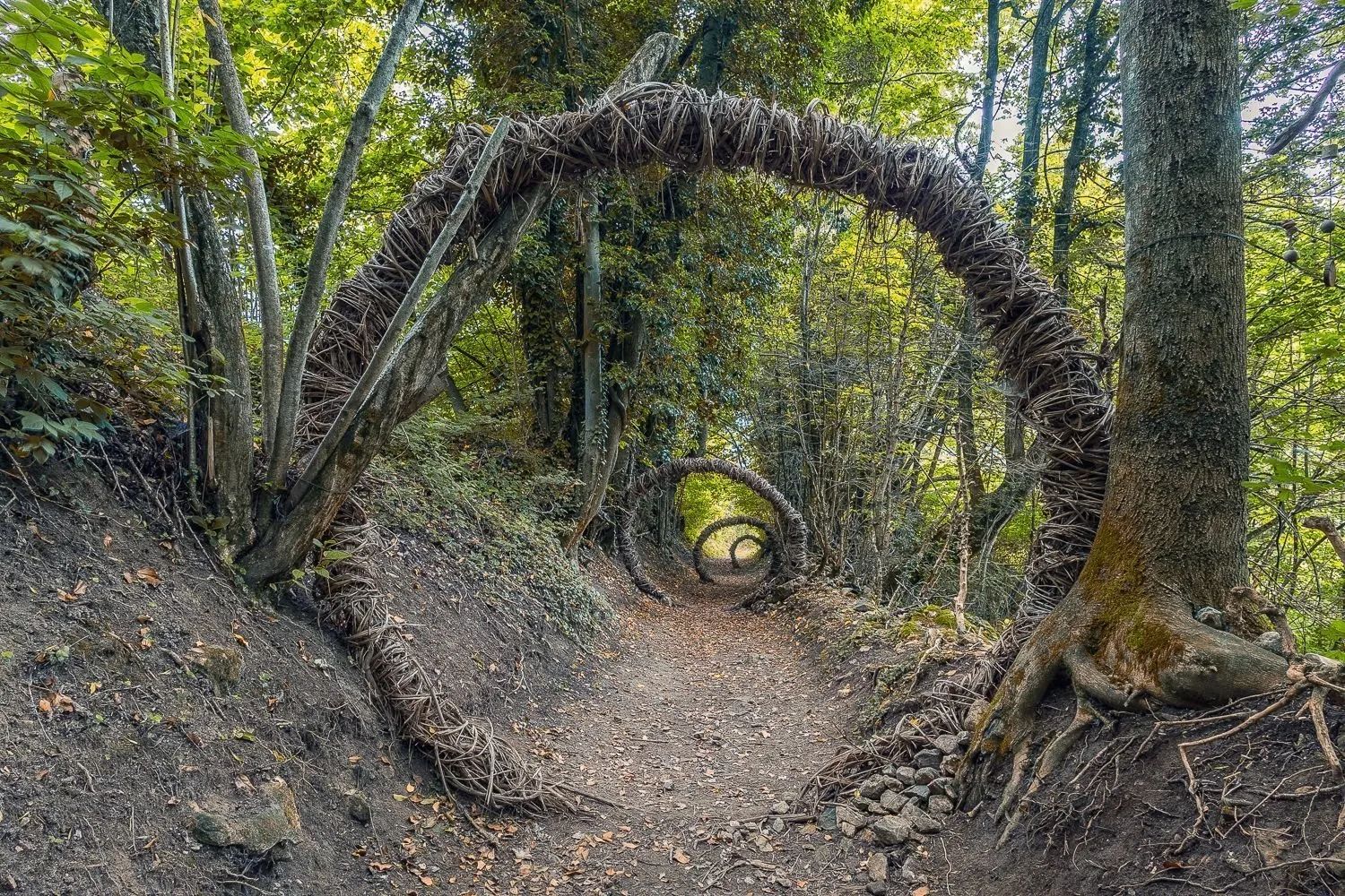 Elves and Nature on the Sarvanot Trail: The Forest That Tells a Magic Story to Experience