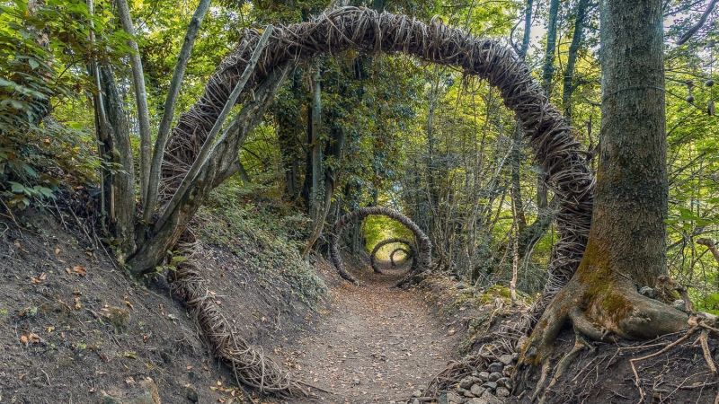 Elves and Nature on the Sarvanot Trail: The Forest That Tells a Magic Story to Experience