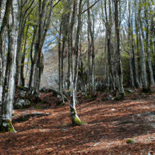 Chromotherapy in the Woods: A Rejuvenating Immersion in the Colors of Nature, Also in Italy