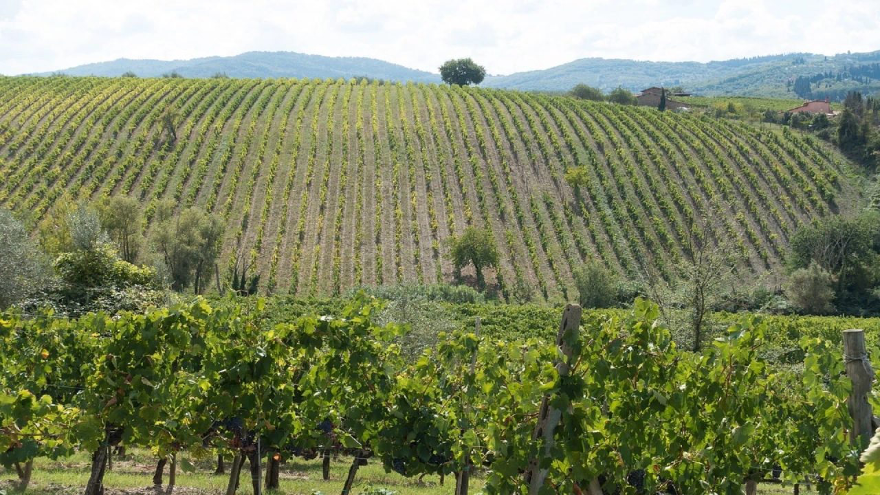 wine tastings in chianti