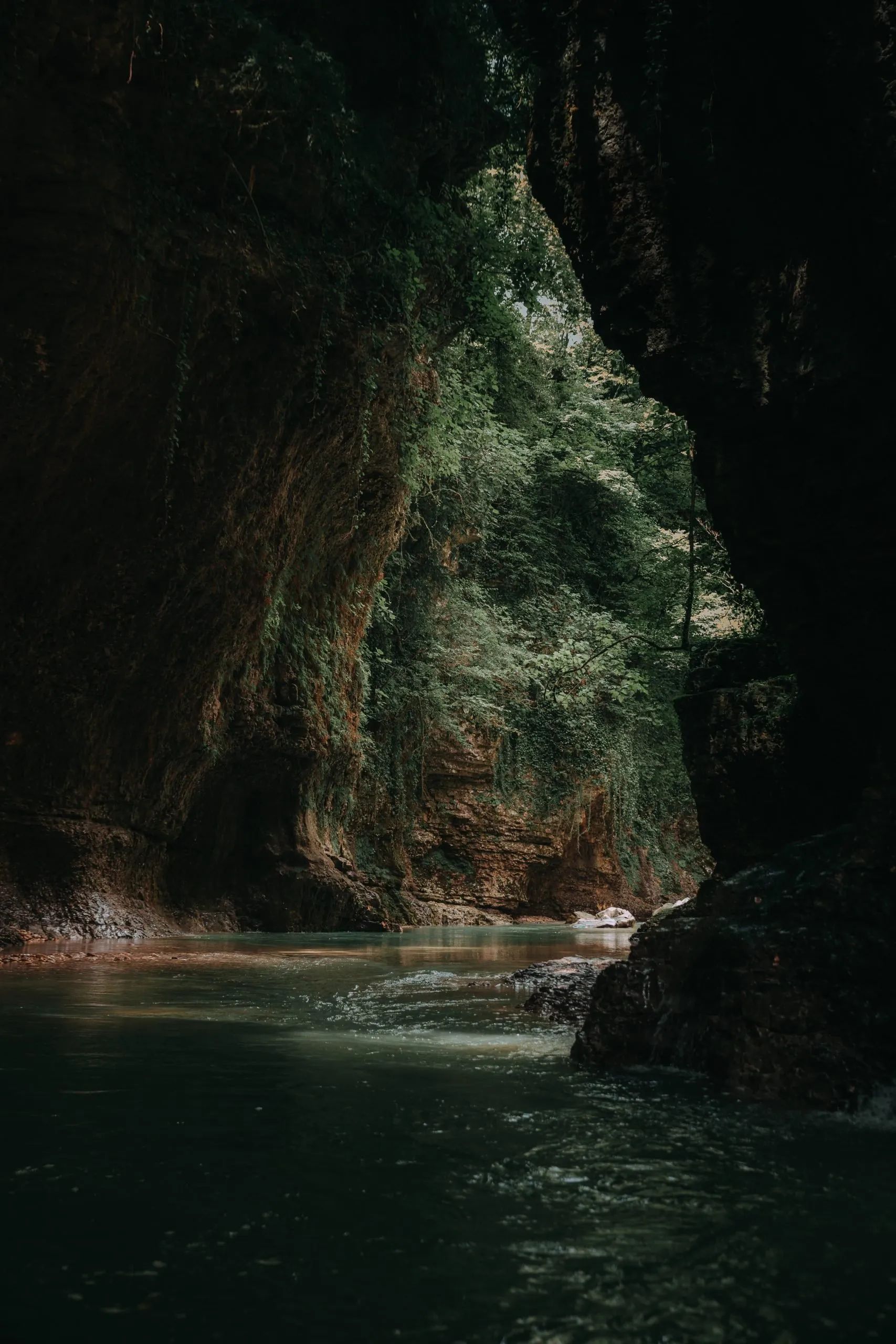 Explorer les merveilles souterraines : les fascinantes grottes de Postojna vous attendent !