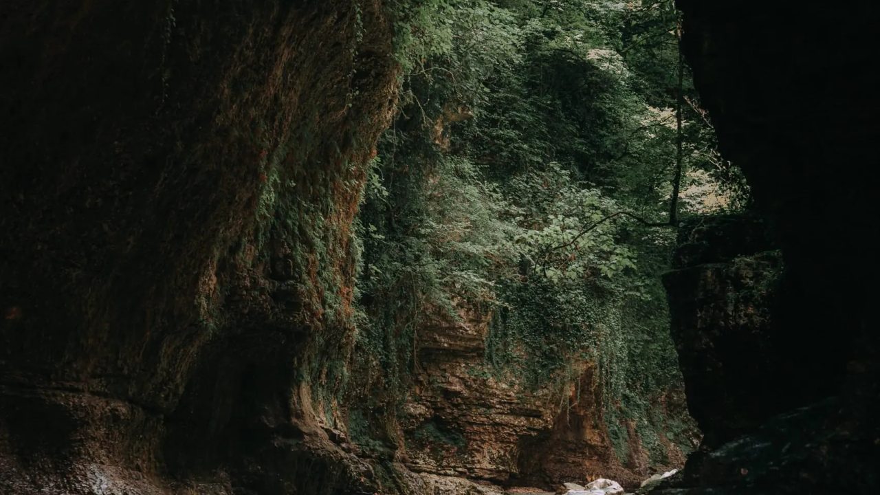 Explorer les merveilles souterraines : les fascinantes grottes de Postojna vous attendent !