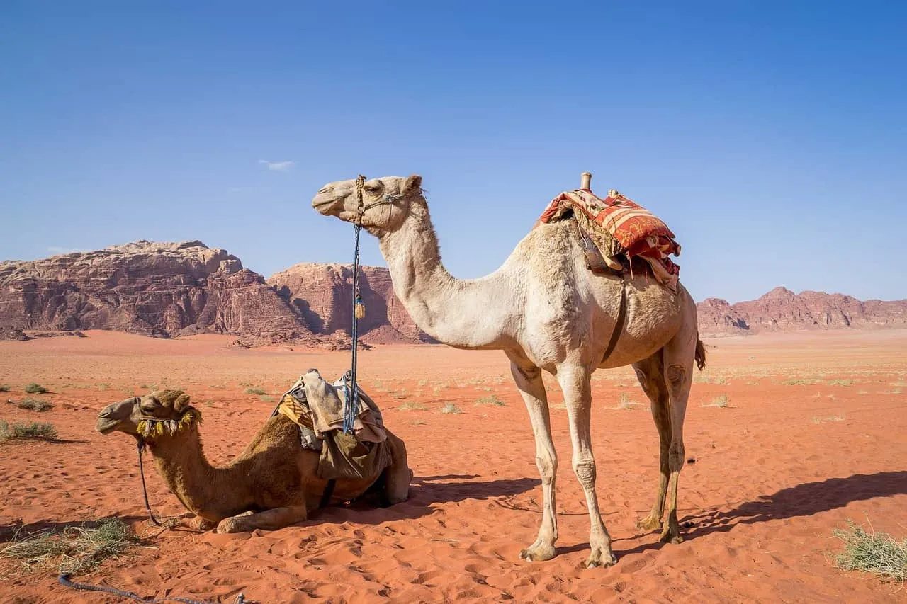 Giordania: una notte nel deserto del Wadi Rum