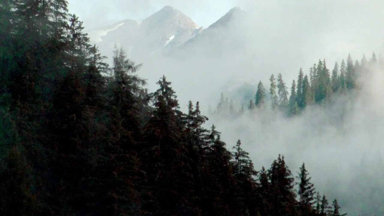 Sappada : découvrez le charme authentique des Dolomites avec notre guide complet