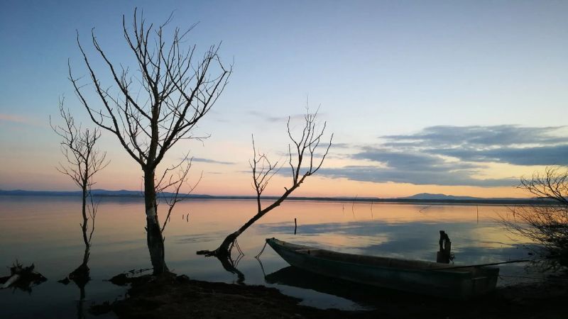 One-Day Trip to Lake Trasimeno