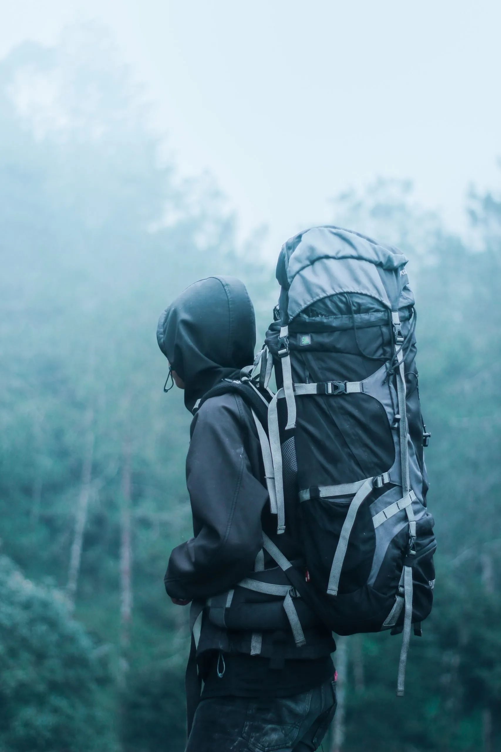 Complete Trekking Gear Guide: What to Pack for an Outdoor Adventure