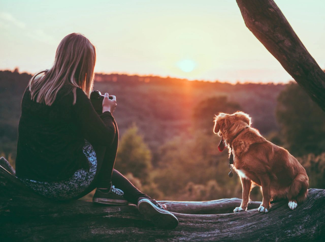 giornata con il cane