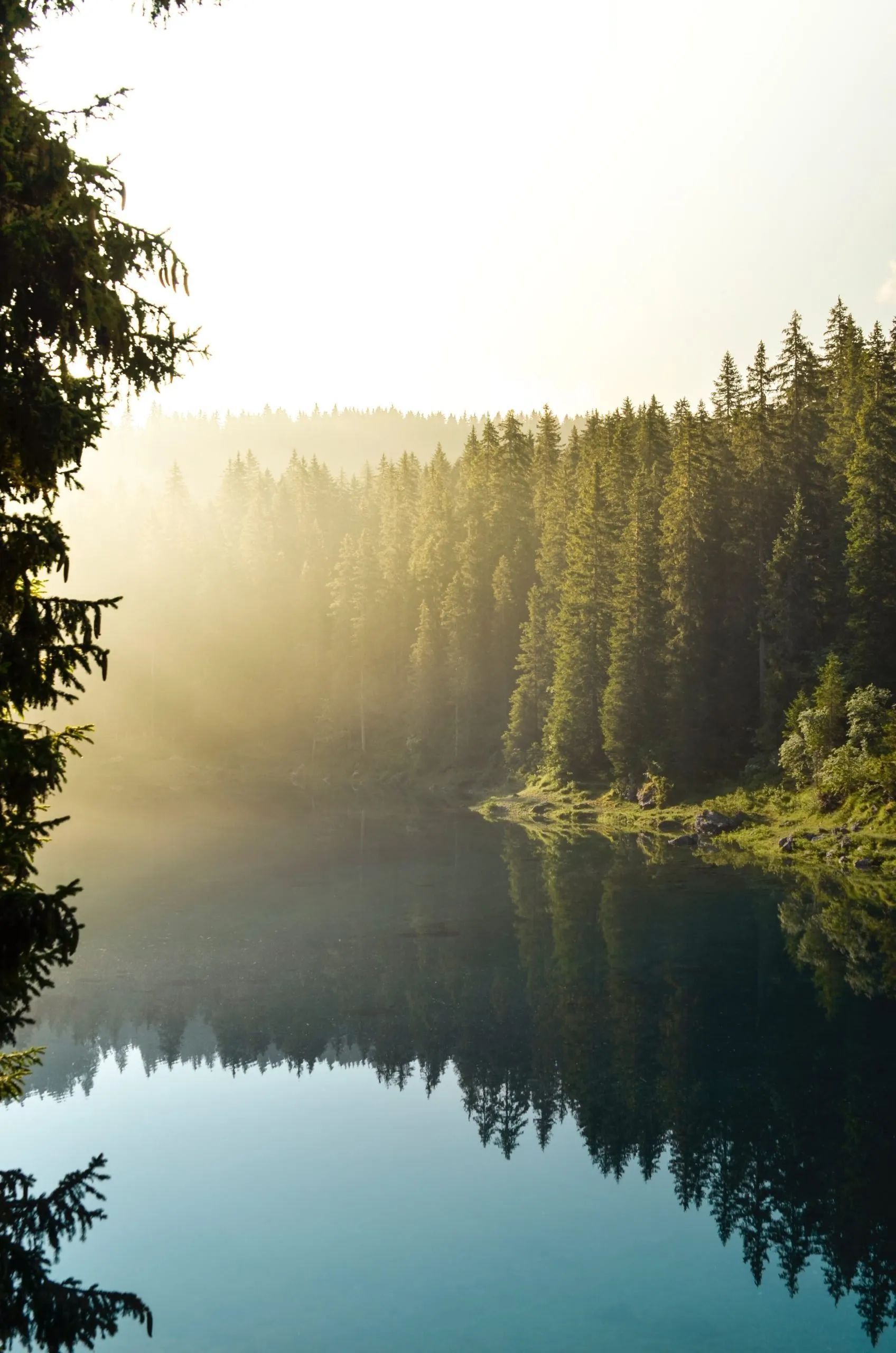 Dobbiaco: Discover the Charm of the Dolomites on an Enchanting Journey Through Nature and Culture