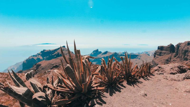 cosa vedere a tenerife vedere a tenerife gran canaria la laguna vicino mare isole canarie guida la oratova