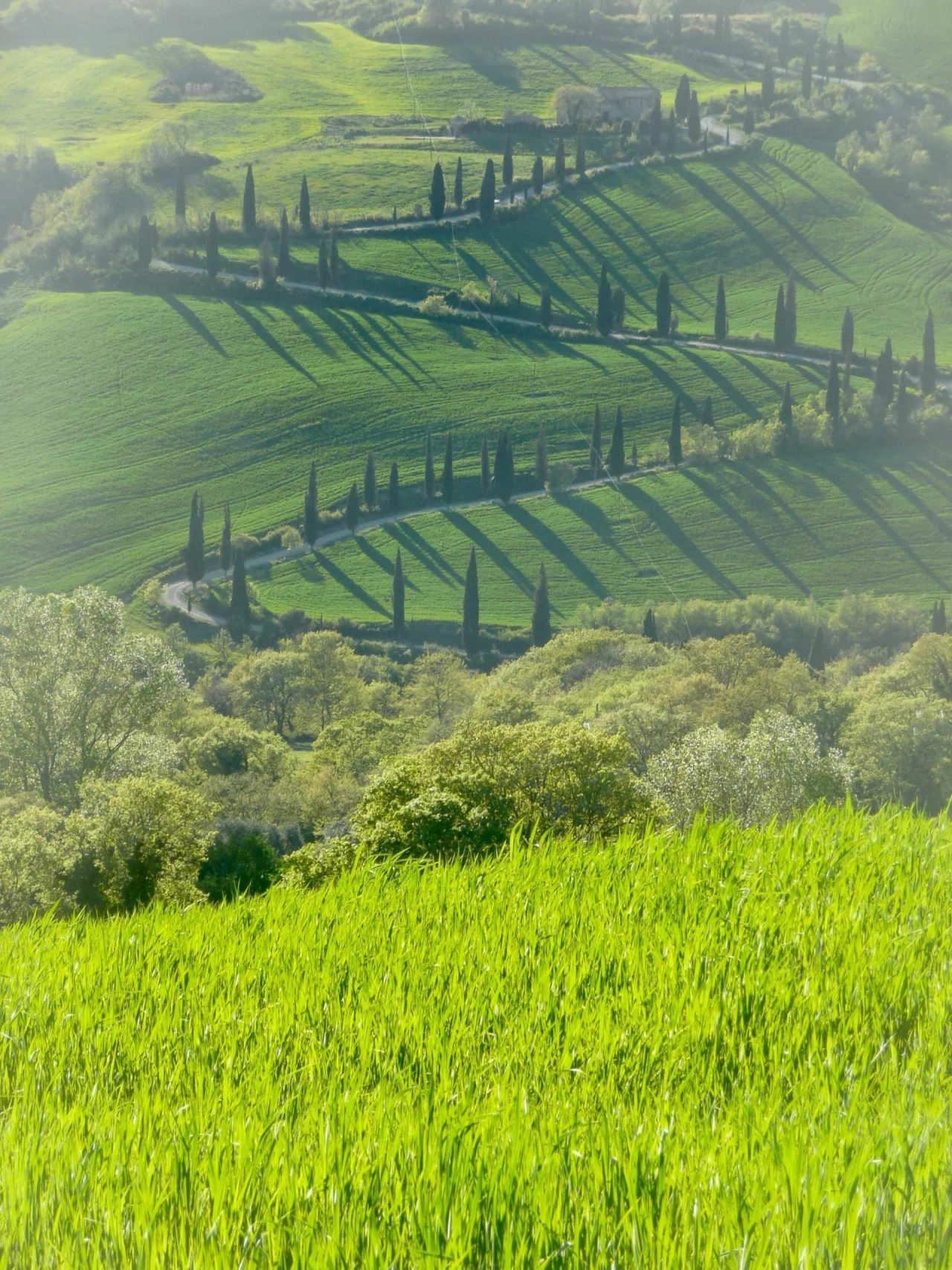 Veduta sulla Val d'Orcia, tra i percorsi trekking in Toscana
